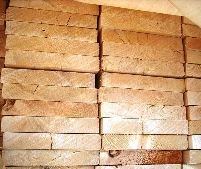 仓山智利辐射松方木